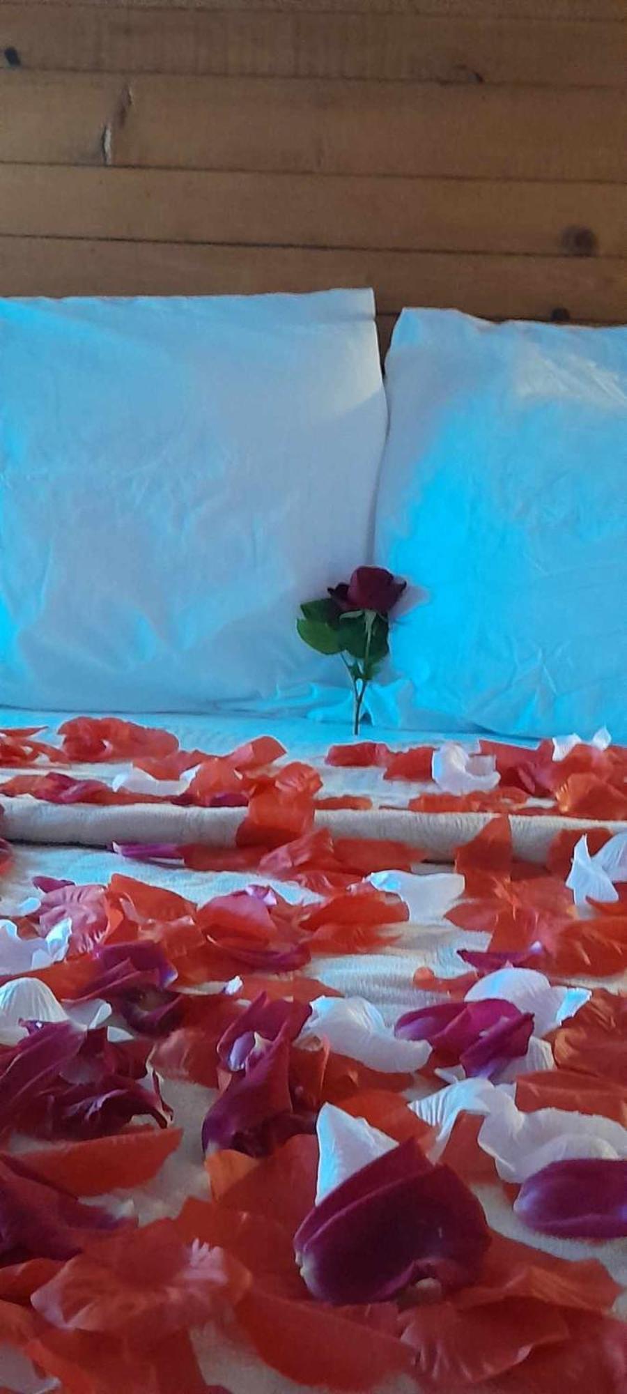 Gjirokastër Guest House Salaria מראה חיצוני תמונה